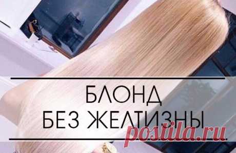 Блонд без желтизны