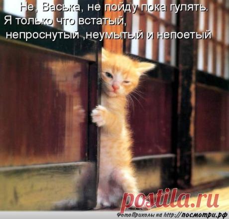 Новости