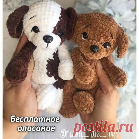 Заглянуть внутрь: анатомически верная вязаная собака