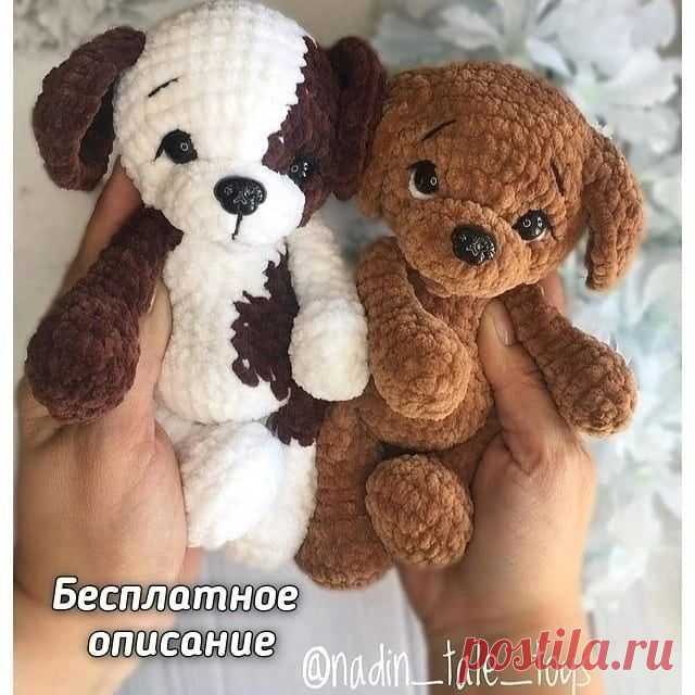 Заглянуть внутрь: анатомически верная вязаная собака