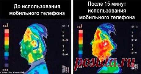 Трудо Выебудни on Twitter: &quot;Друзья, пользуйтесь проводной гарнитурой, когда долго говорите по мобильному. Не превращайте собственный череп в микроволновку! https://t.co/PQq15qZaNi&quot; / Twitter