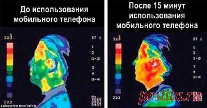 Трудо Выебудни on Twitter: "Друзья, пользуйтесь проводной гарнитурой, когда долго говорите по мобильному. Не превращайте собственный череп в микроволновку! https://t.co/PQq15qZaNi" / Twitter