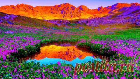 Жизнь есть самая наисложнейшая тональность бытия, открытая нам в изумительной простоте для понимания. В каждой ноте переплетены тысячи звучаний и каждое из оных приходит в необходимый момент нашего развития. В каждом цвете миллионы оттенков и они постигаются не просто зрением, но состоянием нашей души. Поэтому и музыка, и живопись нескончаемы, как и бесконечно число сочетаний моментов нашей любви. Никогда человек не найдет ничего лучшего для себя, чем просто жить этой крас...