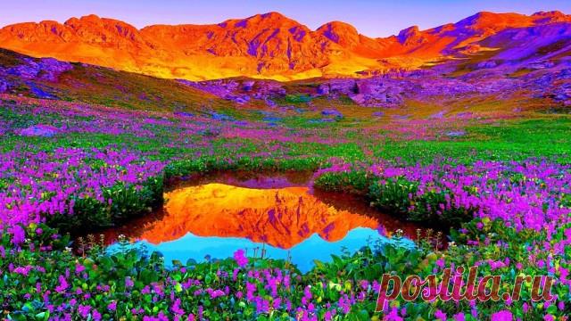 Жизнь есть самая наисложнейшая тональность бытия, открытая нам в изумительной простоте для понимания. В каждой ноте переплетены тысячи звучаний и каждое из оных приходит в необходимый момент нашего развития. В каждом цвете миллионы оттенков и они постигаются не просто зрением, но состоянием нашей души. Поэтому и музыка, и живопись нескончаемы, как и бесконечно число сочетаний моментов нашей любви. Никогда человек не найдет ничего лучшего для себя, чем просто жить этой крас...