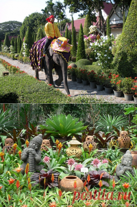 Тропический сад Нонг Нуч (Таиланд).