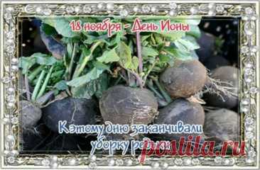 18 ноября отмечают День Ионы — праздник мудрости и внутреннего спокойствия. Считалось, что если ветер в этот день сильный — грядут перемены. Пусть этот день подарит уверенность, гармонию и приятные моменты с близкими. Желаем радости в каждом решении. Открытки на День Ионы.