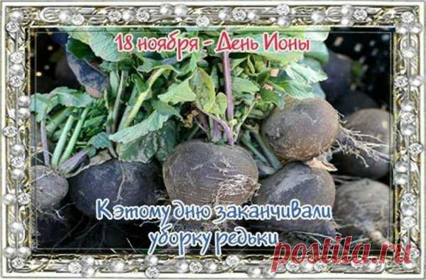 18 ноября отмечают День Ионы — праздник мудрости и внутреннего спокойствия. Считалось, что если ветер в этот день сильный — грядут перемены. Пусть этот день подарит уверенность, гармонию и приятные моменты с близкими. Желаем радости в каждом решении. Открытки на День Ионы.