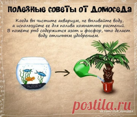Полезные бытовые советы / Surfingbird - все, что интересно тебе