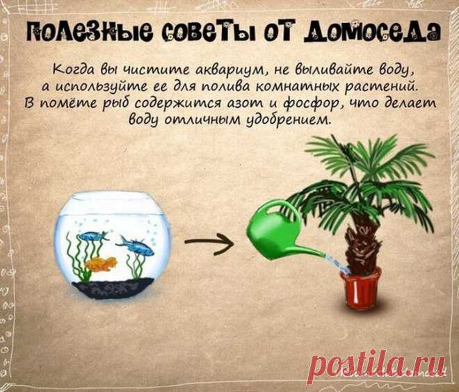Полезные бытовые советы / Surfingbird - все, что интересно тебе