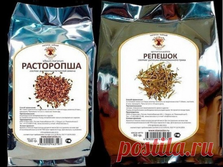 Чистая кровь – основа основ
Мой старший брат Саша — врач- кардиолог. Он часто со мной про­водит просветительские беседы, рассказывает много интересного. Саша говорит, что состав и чистоту крови во многом определяет качество жизни любого организма. Если в крови каких-либо «составляющих» появляет­ся значительно больше или, наоборот, меньше нормы, то развиваются за­болевания. Поэтому очищение крови — один из способов оздоровления организма. В старину большинство болезней медики объясняли «дурной к