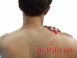 7 ТОЧЕК ЗДОРОВЬЯ

Это реально класс! 

Стресс - неотъемлемая часть жизни. От этой истины вас уже тошнит, верно? Но мы сейчас вам расскажем, как с помощью лучших практик акупунктуры почувствовать себя намного лучше. Прямо здесь и сейчас
Показать полностью…