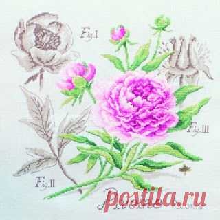 Милые сердцу штучки: Знаменитая серия "Etudes de Botanique" от Veronique Enginger