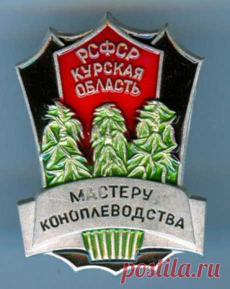 Семена конопли