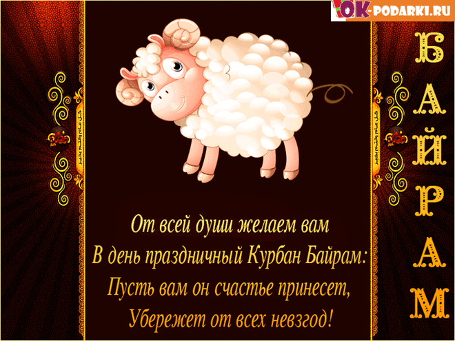 На Курбан Байрам всем сердцем
Добрых дел тебе желаю,
Чтобы в зеркало смотреться,
Свою важность сознавая!