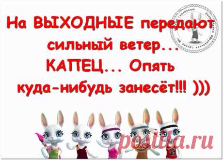 -🍁-Настроение как у осеннего листочка: хочется оторваться!