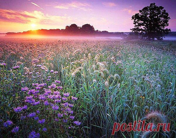 Харьковская обл. Краснокутский район
