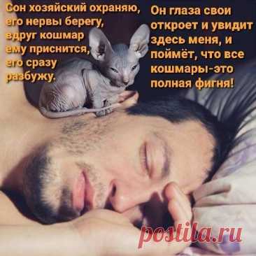 Выпуск №6445 - выпуск анекдотов сайта вокруг смеха
