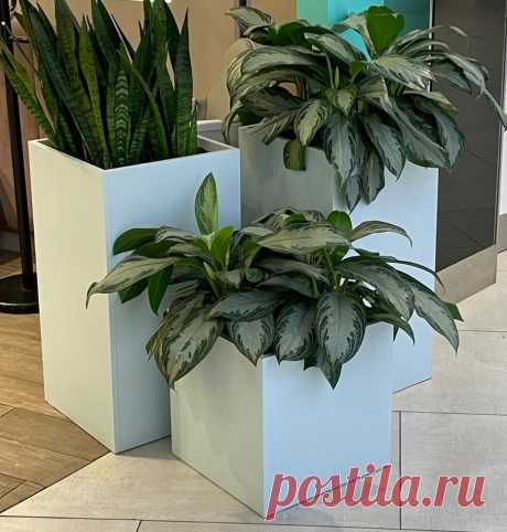 Кашпо из композита. Кашпо из композита на заказ.          Изготавливаем кашпо из композита, горшки и вазоны любой сложности и размеров Изготавливаем кашпо из композита, горшки и вазоны любой сложности и размеров