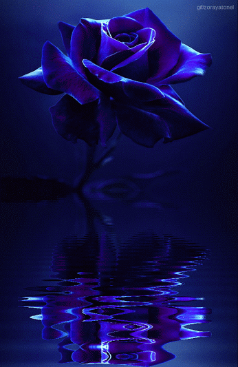 rime-s:
“rime_s.tumblr.com
”