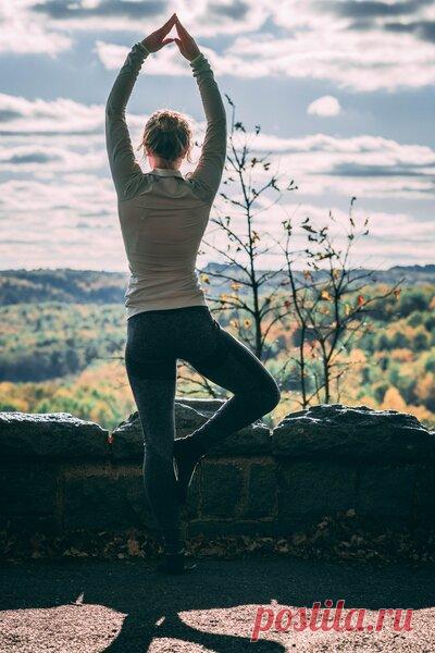 Добиваемся стройной фигуры без диет | Блоги о даче и огороде, рецептах, красоте и правильном питании, рыбалке, ремонте и интерьере