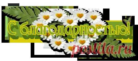 Программы, без которых ни один пользователь не сможет работать за компьютером