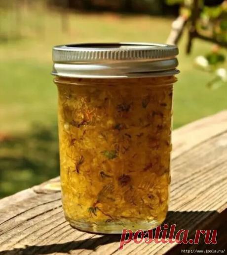 МАСЛО ИЗ ОДУВАНЧИКА ОТ БОЛИ В СУСТАВАХ