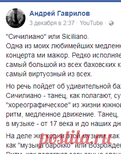 (15) Андрей Гаврилов - 