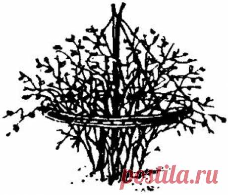 обод от старого велосипедного колеса, установленный на 3-4 колышка.