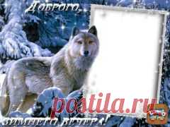 (14) Одноклассники