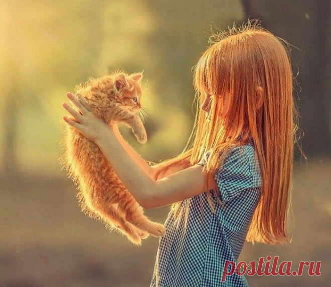 Когда ты с котиком одной масти
