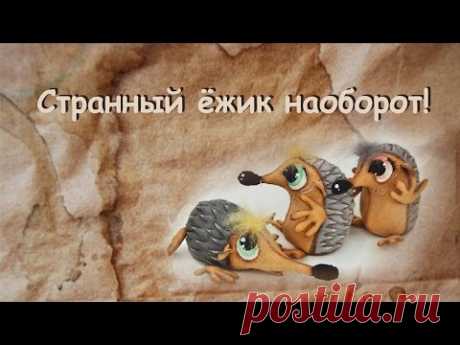 -- | ЛоскутиК и ОблакО