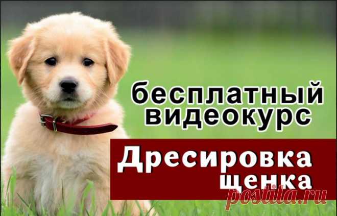 Запись вебинара 