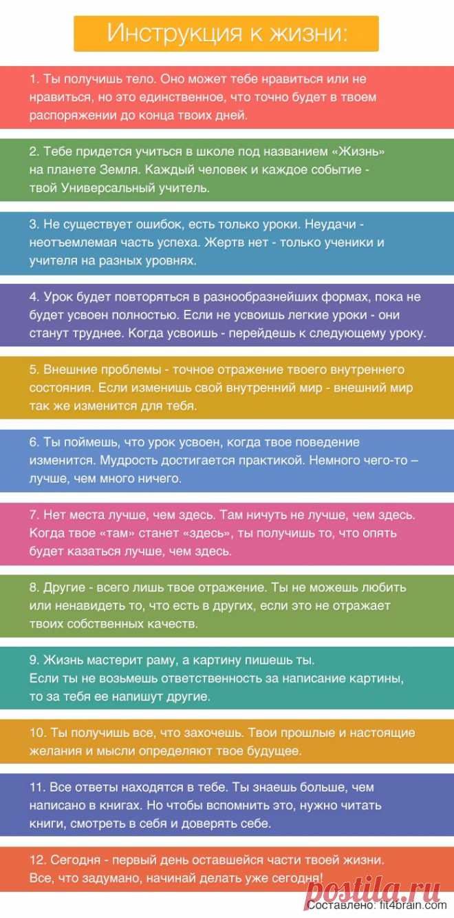 Инструкция к жизни – Фитнес для мозга