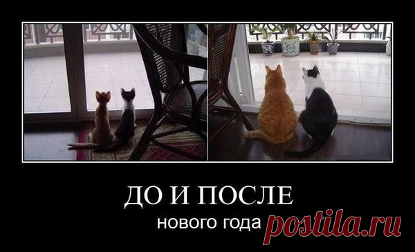 Какое блюдо в новогоднюю ночь быстрее всего 