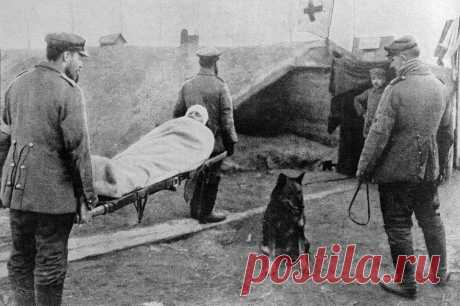 Facebook
11 ноября 1918 года Компьенским перемирием, означавшим капитуляцию Германии, окончилась Первая мировая война. АиФ.ru собрал редкие фотографии войны, которые хранились в частных коллекциях и ранее не публиковались 

https://www.aif.ru/society/gallery/1378375#id=4905024