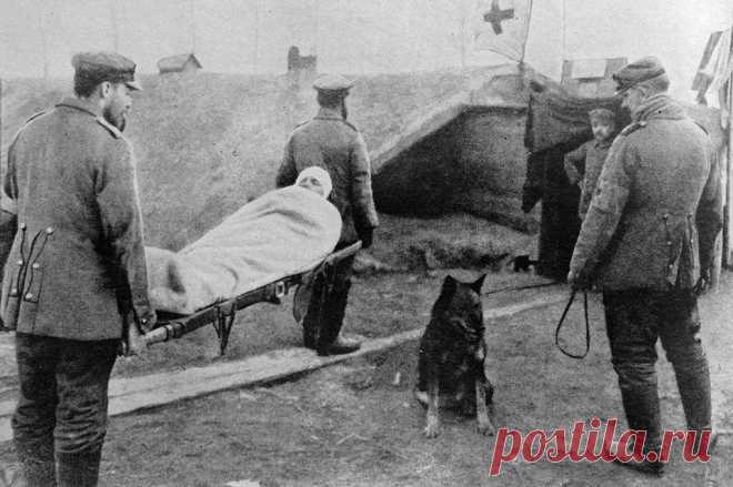 Facebook
11 ноября 1918 года Компьенским перемирием, означавшим капитуляцию Германии, окончилась Первая мировая война. АиФ.ru собрал редкие фотографии войны, которые хранились в частных коллекциях и ранее не публиковались 

http://www.aif.ru/society/gallery/1378375#id=4905024