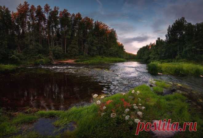 Вельский район, Архангельская область