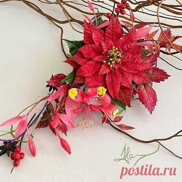 November has always been the start of my Festive Flowers teaching .... and this year it’s my first online Christmas/Festive Flowers demonstrations. There are various classes - some already recorded and saved to private FB pages. If you would like to sign up there is The Poinsettia and Ilex berries, Exotic Amhertsia and the forthcoming Christmas Rose/Hellebore and berries ( 18th November ) - plus a complimentary Butterfly demonstration- date to be confirmed. It is £30 to si...