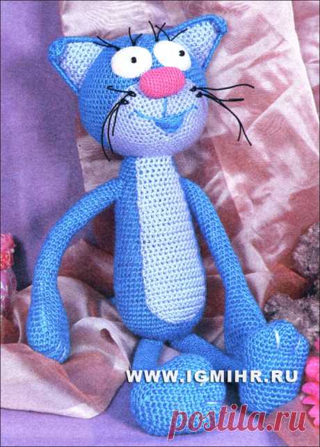 Красивый задорный котик