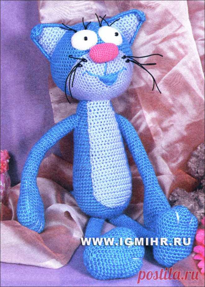 Красивый задорный котик