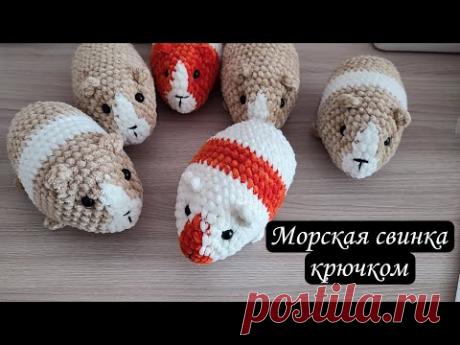 Морская свинка крючком / мк крючком / вязаная морская свинка