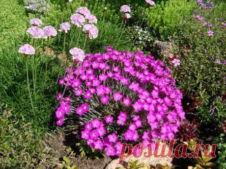 ЦВЕТНИКИ - СВОИМИ РУКАМИ | Самоцветик