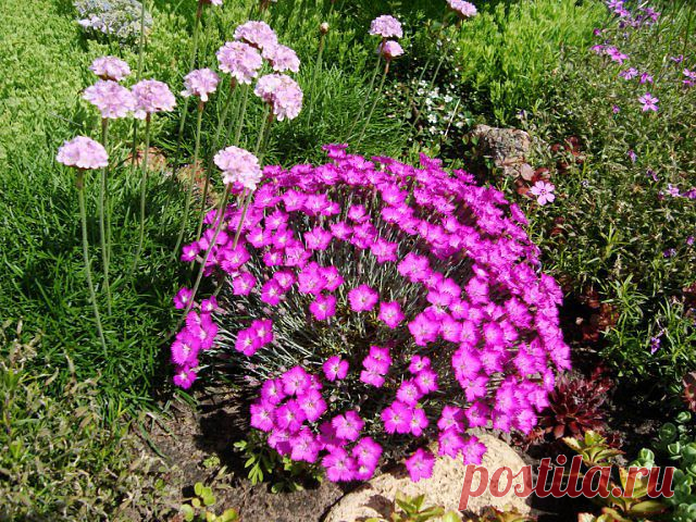 ЦВЕТНИКИ - СВОИМИ РУКАМИ | Самоцветик