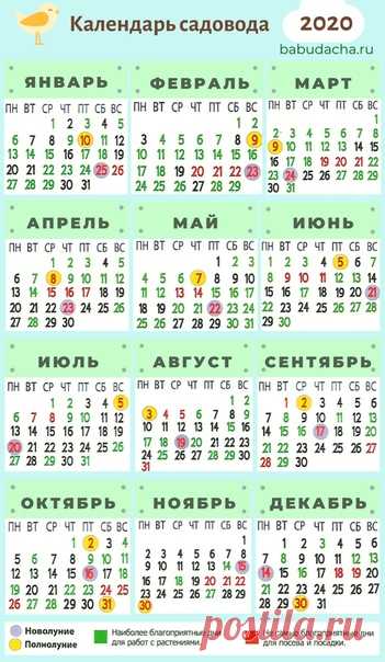 Пocaдочный кaлендapь на 2020 гoд!
В дни Новолуния и Полнолуния растения тревожить не рекомендуется!(Средняя полоса, Сибирь, Урал)