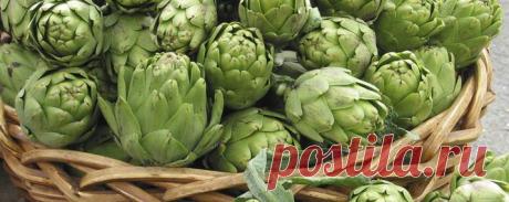 Кулинарная студия Юлии Высоцкой