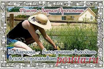 В День Лариона Пропольника
Вам здоровья я желаю,
Много радости, любви,
Чтоб чудесны были дни.