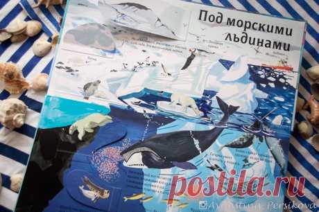 Несколько любопытных фактов о животных Арктики из книги &quot;Вокруг света. Над землей и под землей&quot; ( - В толще морского льда есть отверстия - отдушины, через которые тюлени дышат воздухом во время подводной охоты. - Гренландский кит питается крилом (крошечные рачки, похожие на креветок), отцеживая его из воды с помощью китового уса - громадных пластин в пасти. - Гагарка умеет и летать, и плавать.