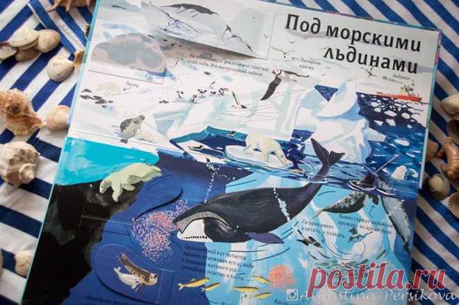 Несколько любопытных фактов о животных Арктики из книги "Вокруг света. Над землей и под землей" ( - В толще морского льда есть отверстия - отдушины, через которые тюлени дышат воздухом во время подводной охоты. - Гренландский кит питается крилом (крошечные рачки, похожие на креветок), отцеживая его из воды с помощью китового уса - громадных пластин в пасти. - Гагарка умеет и летать, и плавать.