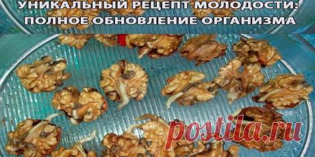 УНИКАЛЬНЫЙ РЕЦЕПТ МОЛОДОСТИ: ПОЛНОЕ ОБНОВЛЕНИЕ ОРГАНИЗМА | Полезные советы