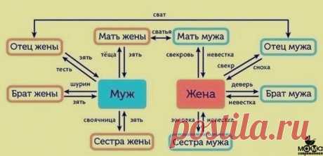 Как не запутаться в родственниках 

Сохраните, иначе никогда не запомните